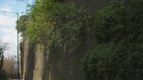 Grüne-Sträucher-Auf-Der-Hohen-Mauer-Des-Osthügels,-Dartford,-Kent,-England,-Vereinigtes-Königreich-1