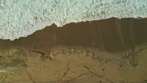 Top-down-of-waves-slowly-crashing-into-a-sandy-coastline