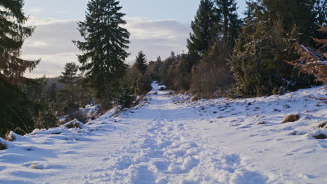 POV-Weitwinkelaufnahme-Vom-Gehen-Auf-Einem-Verschneiten-Weg-Im-Tal-Kiesental-Bei-Ulm,-Deutschland