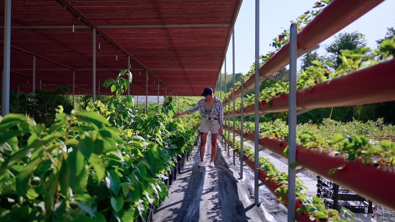 온실 에서 식물 을 돌보는 여자