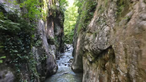 Junger-Mann-Zu-Fuß-Im-Canyon-River