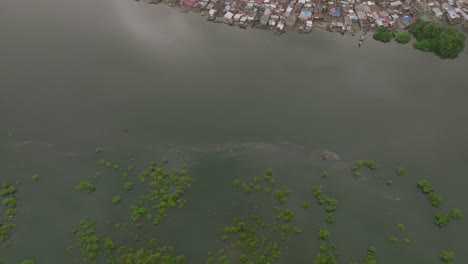 Imágenes-Aéreas-Sobrevolando-Los-árboles-Y-La-Bahía-De-Freetown-Y-Llegando-A-Un-Barrio-De-Casas-Sobre-El-Agua