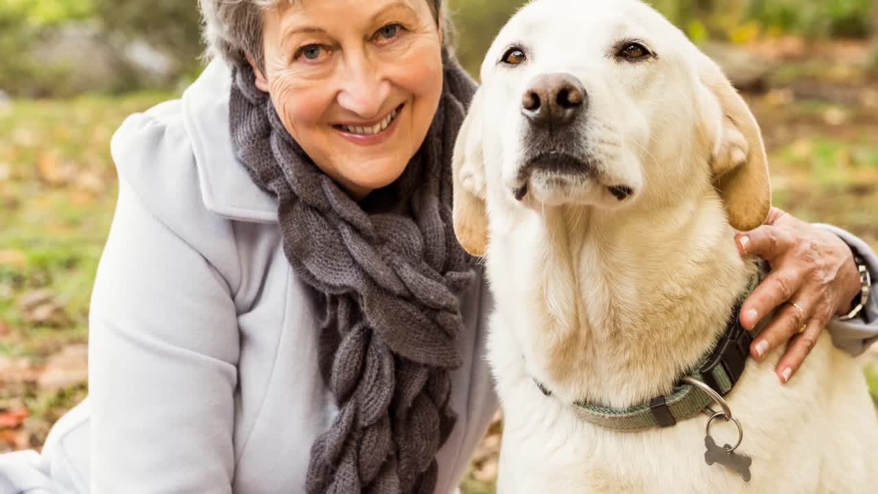 행복한 백인 고령 여성이 미소 짓고 공원에서 애완동물 라브라도르 개를 포옹하고 있습니다.