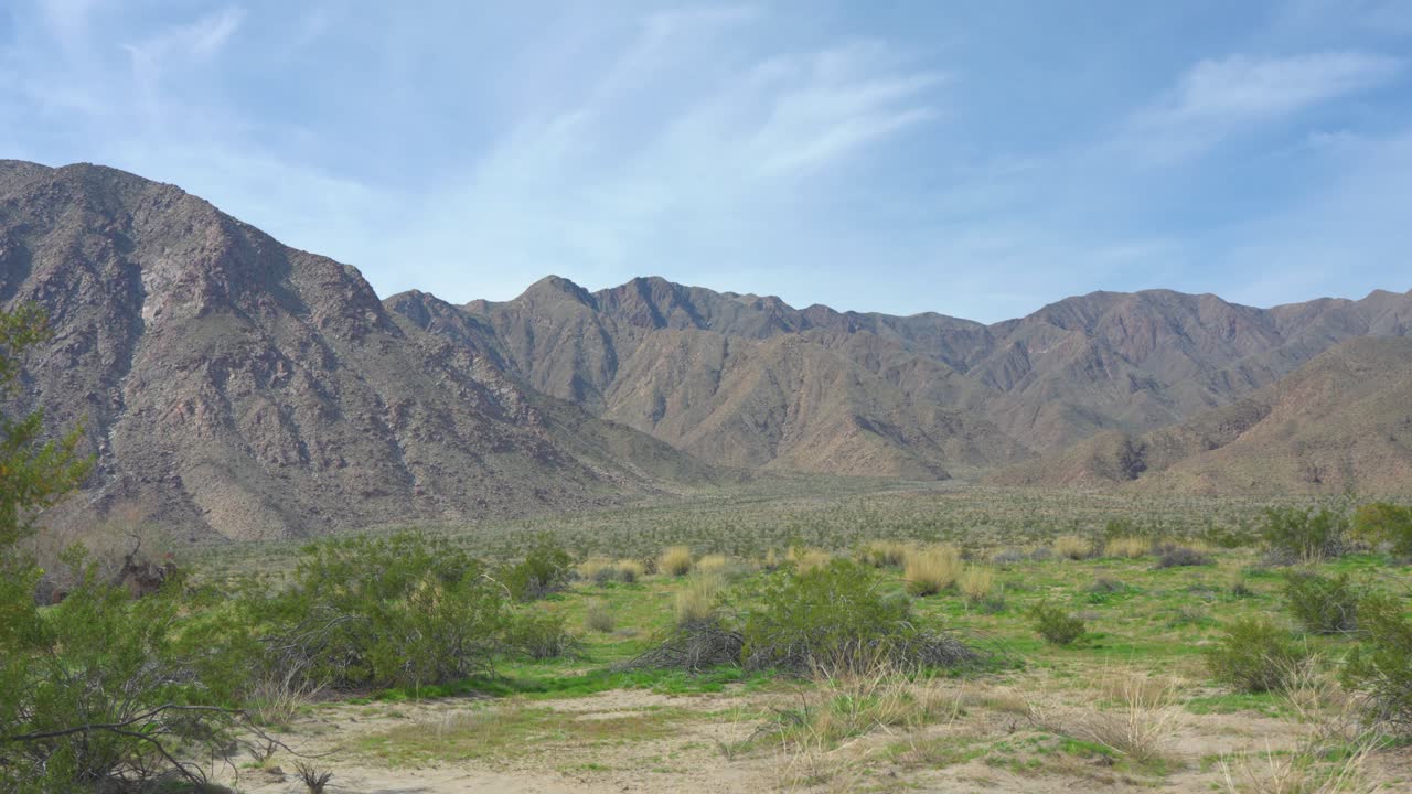 beautiful rocky mountains surrounded by lush green shrubs and other succulents in the Anza Borrego Desert