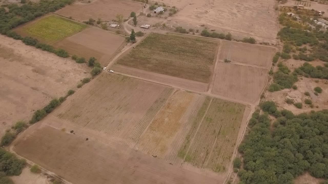 alta vista de un avión no tripulado volando alrededor de una plantación durante un día nublado en méxico