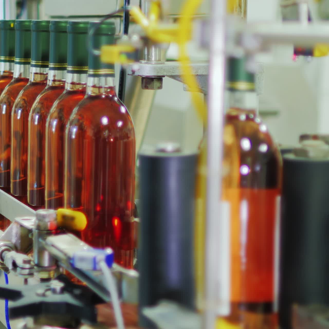producción y embotellado de vino en una bodega 2