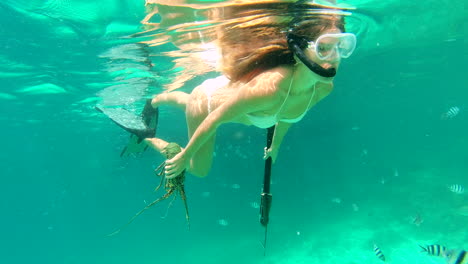 woman swimming in the ocean