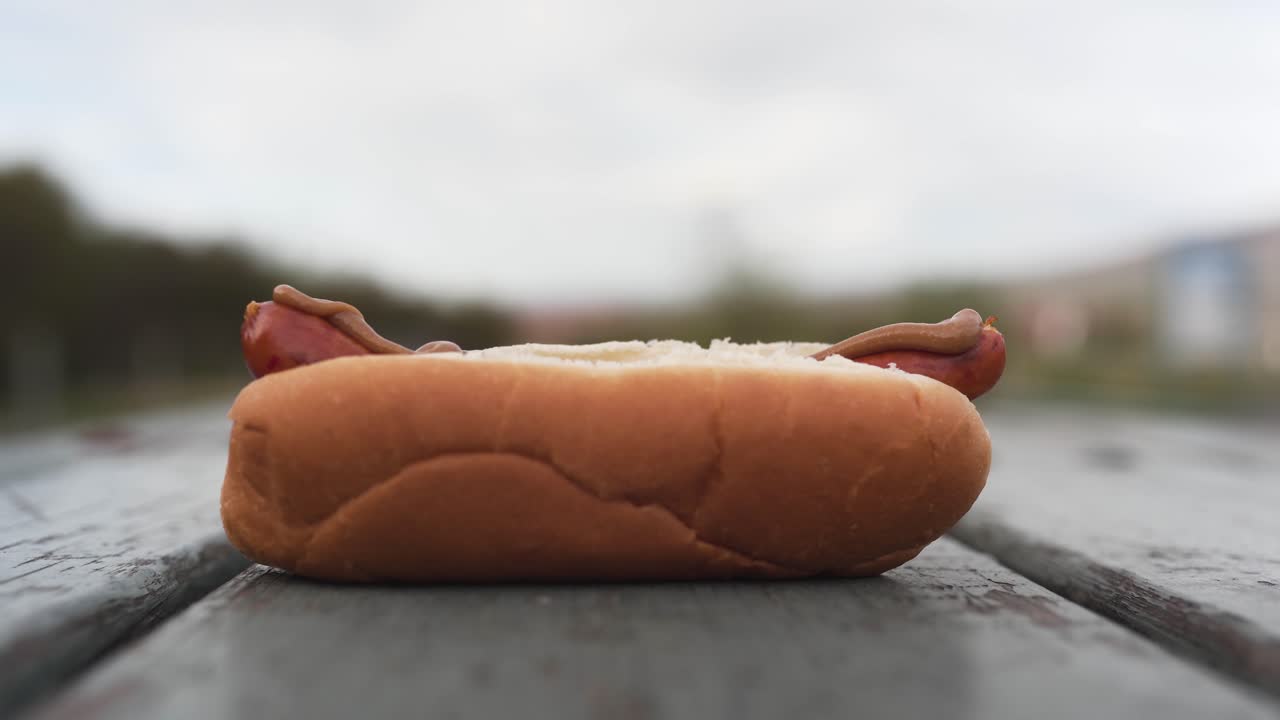 imágenes de primer plano de una salchicha en un pan-2