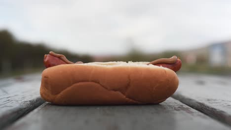 closeup footage of a sausage in a bread-2