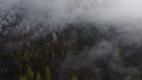 Relaxing-drone-video-in-Swiss-Alps-on-cloudy-moody-grey-winter-afternoon-with-lush-pine-forests-and-beautiful-snowy-trees-on-mountains-sideways-flying-and-rotating
