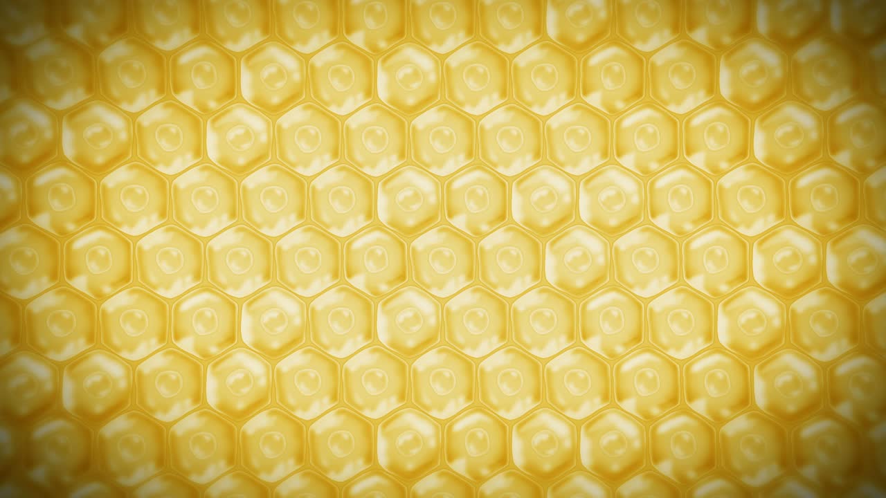 인간 피부 세포: 세포막을 가진 각 세포, 세포 치료, 질병 치료, 핵과 진공, 재생, 루프 애니메이션