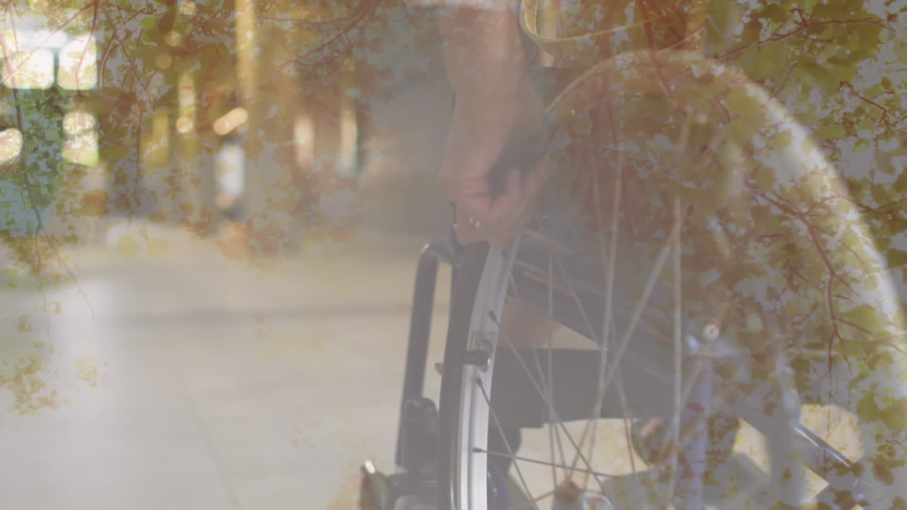 공원 에서  ⁇ 체어 를 타고 있는 사람 위 에 나무 가  ⁇ 여 있는 애니메이션