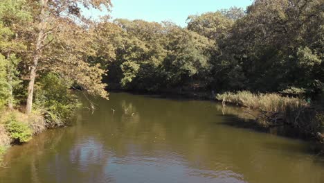 Aerial-low-shot-with-drone-fly-over-river-between-trees-in-summer-day-1