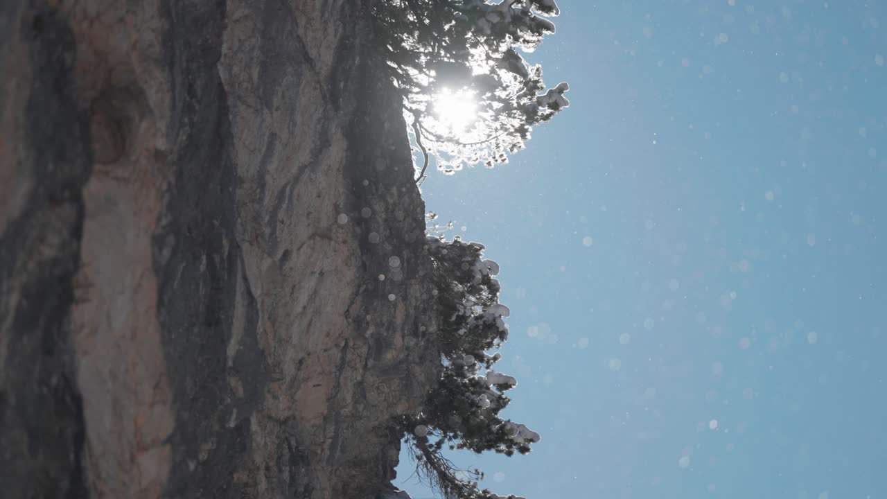 Bright sunbeam filters behind a snowy tree, as it clings to the rocky cliff, catching floating snowflakes in the wintry air. Slow-motion video.
