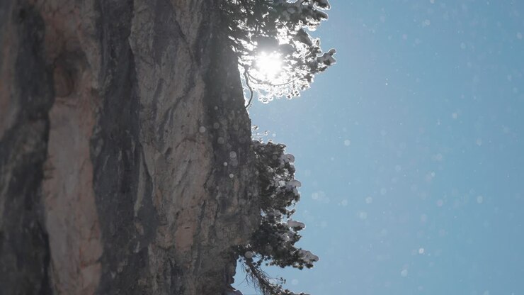 Bright sunbeam filters behind a snowy tree, as it clings to the rocky cliff, catching floating snowflakes in the wintry air. Slow-motion video.