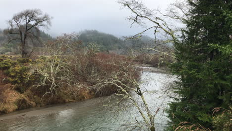 Der-Friedliche-Elk-River-Oregon-In-Curry-County-Vereinigte-Staaten,-Umgeben-Von-Bäumen-Und-Gras---Weitwinkelaufnahme