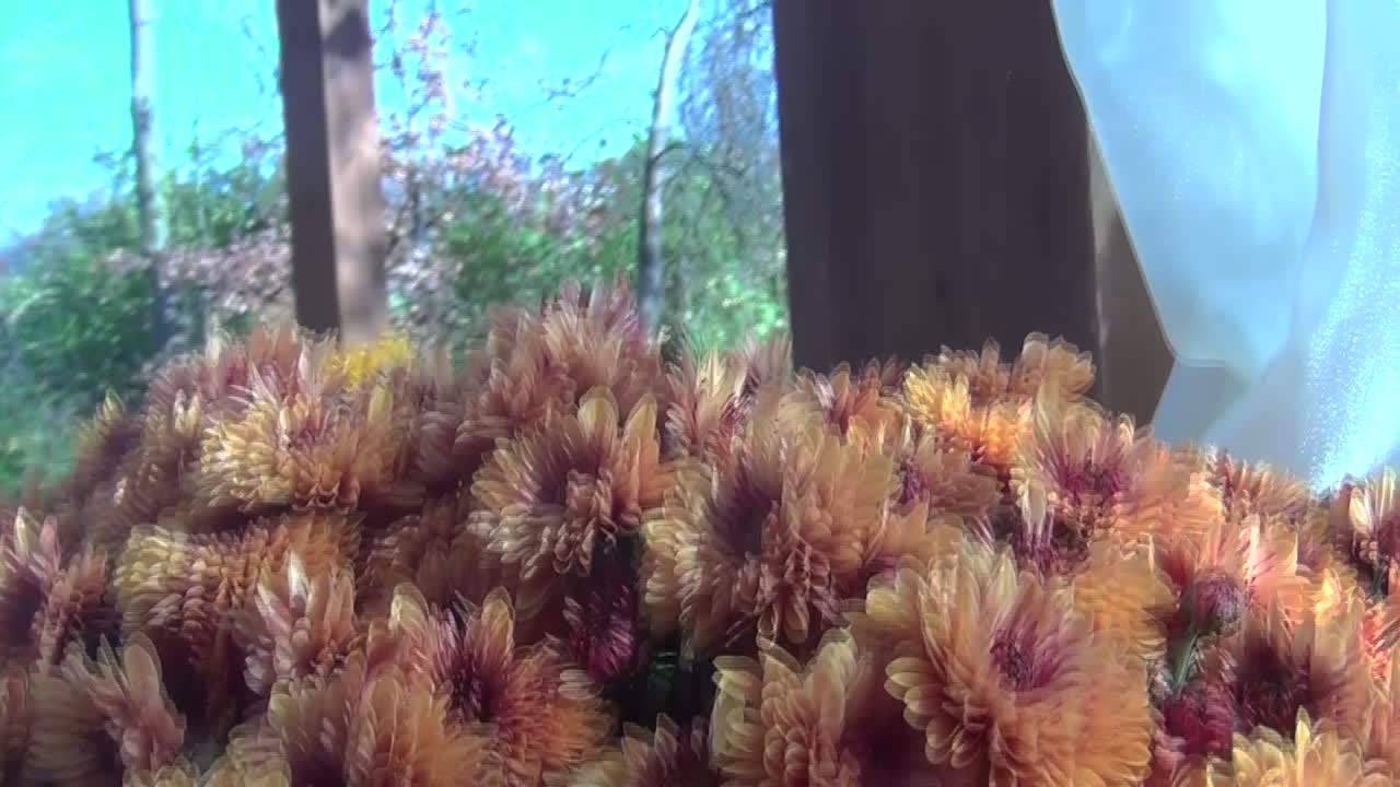 arreglos florales morados y naranjas que se muestran en una bandeja lenta