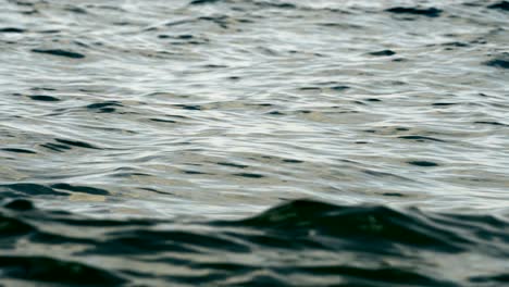 background loop texture of a calm deep blue ocean with ripples on the surface of the sea water