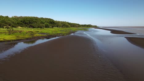 aerial pull out shot capturing the pristine el destino natural reserve sandy riverbank and coastal wetland in rio de la plata in magdalena, buenos aires