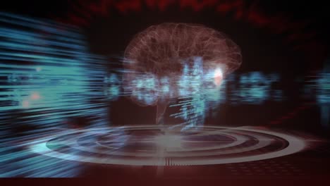 Animación-Del-Cerebro-Humano,-Moléculas-Girando-Y-Procesamiento-De-Datos