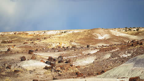 Schwenk-über-Die-Wüstenlandschaft-Im-Petrified-Forest-National-Park