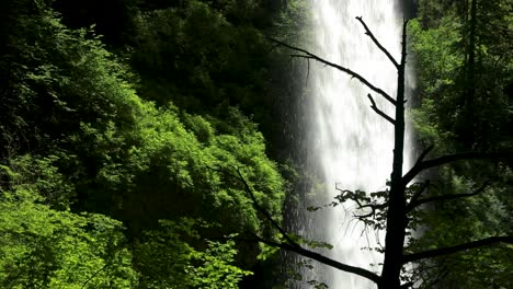 The-Cascades-From-Rainforest-Mountains-At-Silver-Falls-State-Park-Near-Silverton-In-Oregon