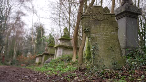 Grabsteine,-Die-An-Einem-Bewölkten-Tag-Auf-Einem-Waldfriedhof-Mit-Moos-Bedeckt-Sind