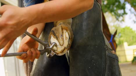 Woman-removing-horseshoes-from-horse-leg-4k