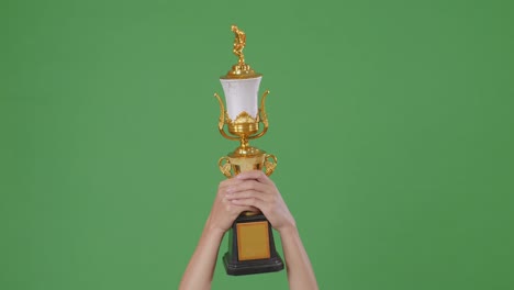 raised hands of a man are holding a trophy. green screen background