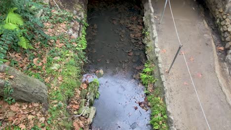 lluvia cayendo sobre un arroyo en el parque griffith