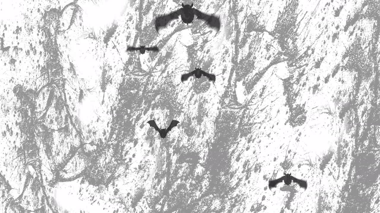 animación de los murciélagos espeluznantes de halloween volando sobre un fondo en movimiento blanco y gris