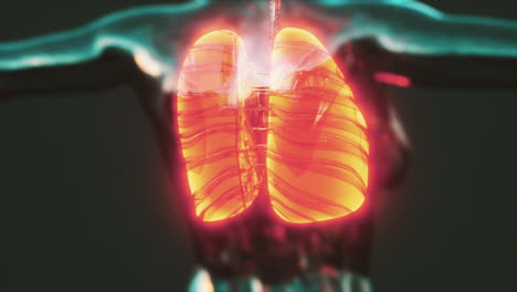 imagen de rayos x de los pulmones humanos para un diagnóstico médico de coronavirus covid-19