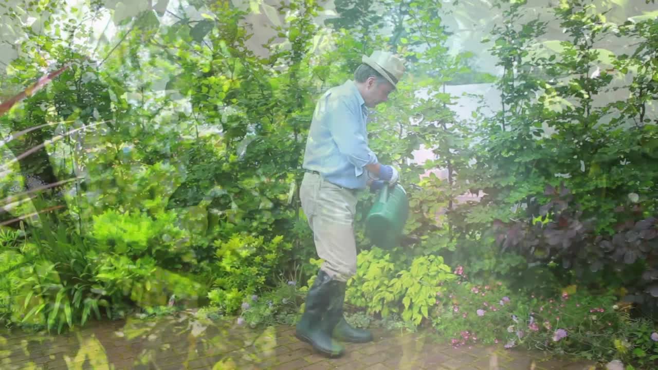 Video composito di alberi alti contro un uomo anziano caucasico che annaffia le piante nel giardino.