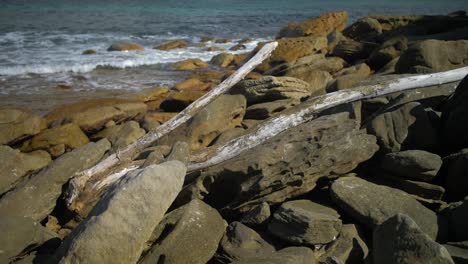 Madera-A-La-Deriva-En-Las-Rocas---Olas-Del-Mar-Salpicando-En-La-Costa-Rocosa---Suburbios-Del-Este---Sydney,-Nueva-Gales-Del-Sur,-Australia