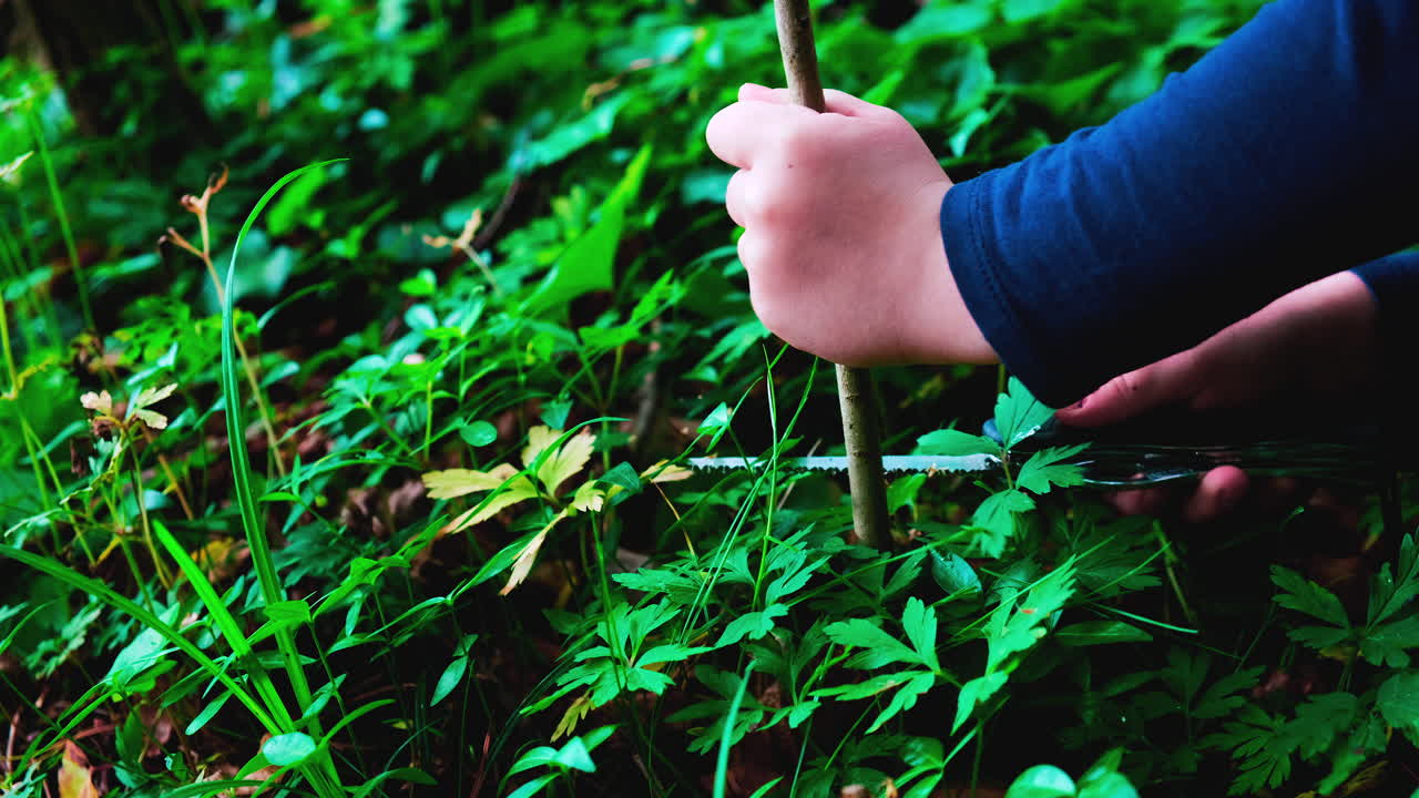 manos de una niña o niño usando un cuchillo suizo, aserrando un trozo de madera en el bosque, nadie-2