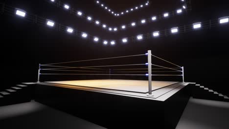 sports wrestling and boxing. sport 4k professional background animation