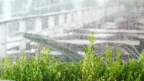 lluvia en una ventana con plantas