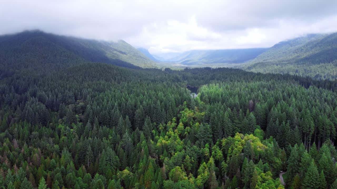 Forests of British Columbia shot with a drone on a cloudy day