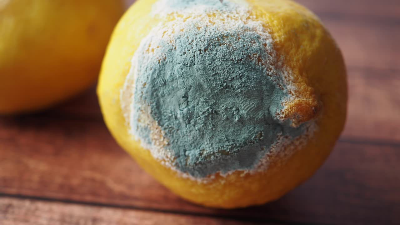 limón con moho