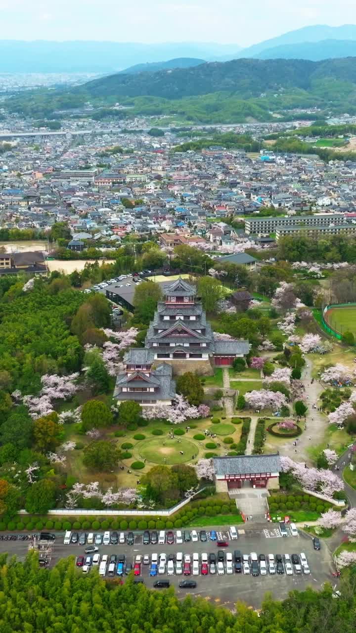 Vertical Aerial establishing fly travel landscape of Kyoto along Sakura Cherry blossom pink flowers next to Fushimi Castle