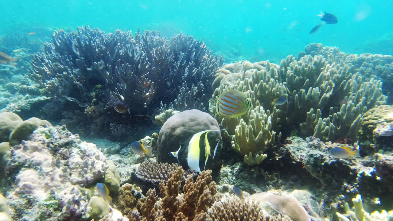 Live life at it's deepest