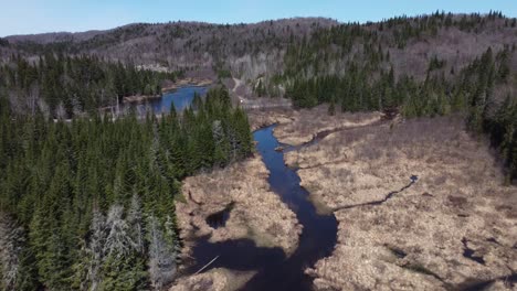 birdeye aerial view over north american landscape with trees and creeks