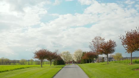 tree lined farm lane leads to family farm buildings in rural scene