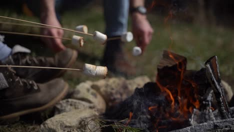 A group of young people warm marshmallows on a bonfire. Close up.