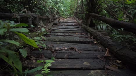 Eine-Schöne-Holzbrücke-Tief-Im-Dschungel