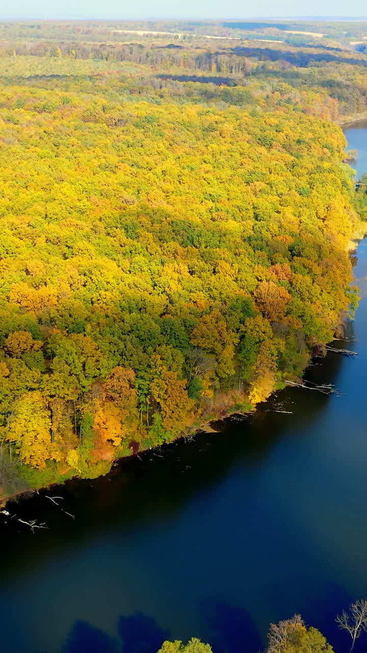 Aerial view of beautiful forest river fields. Autumn seasonal forest landscapes. Vertical video