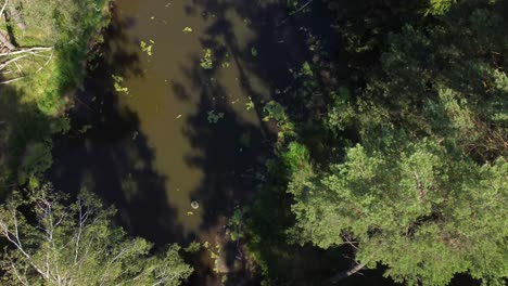 lost-and-forgotten-lagoon-in-green-european-forest-aerial-high-angle-dolly