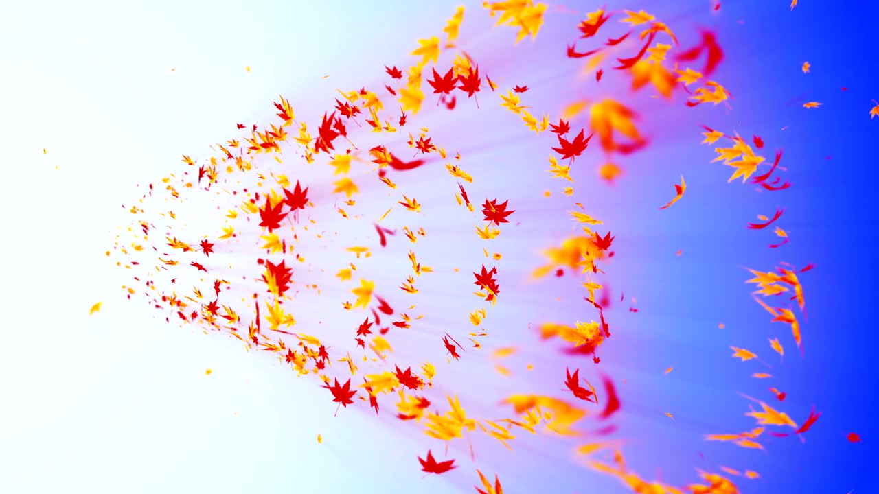 다채로운 메이플과 잎에서 나온 소용돌이, 가을 잎의 나선형 반이는 입자, 춤추는 잎, 다채로운 자연 터널 루프 애니메이션.