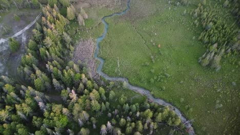 Panorámica-De-Corriente-Azul-Aérea-Hacia-Abajo-Con-Un-Pájaro-Volando-Por-Debajo