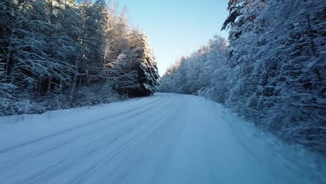 beautiful scenic aerial view of a winter forest in sunny winter day, trees covered with fresh snow, ice and snow covered road, wide angle drone shot moving forward low over the road